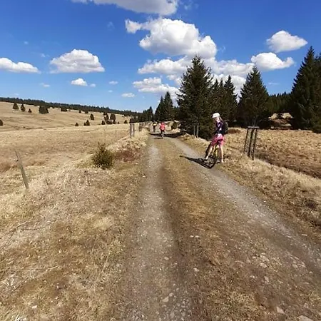 Andrea Абертами