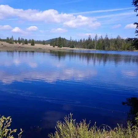 Andrea Абертами