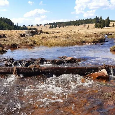 Andrea Абертами