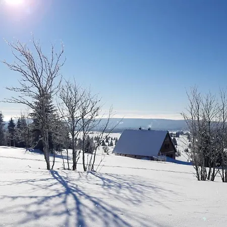 Andrea * Абертами